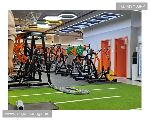 科学健身打造健康体魄让运动成为提升生活品质的最佳方式