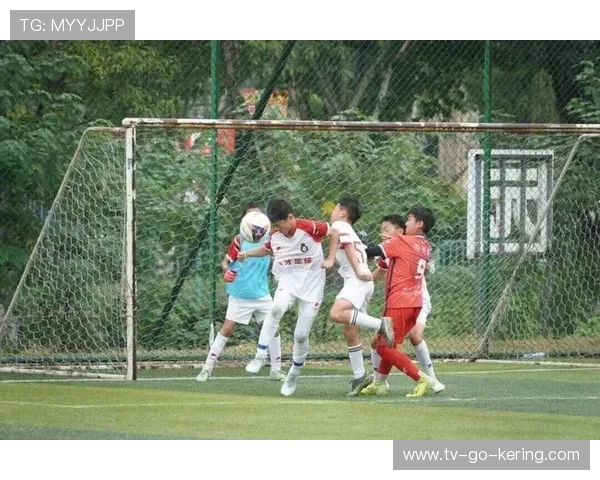 逐梦绿茵赛场：解析当代足球运动员全方位全面成长与挑战之旅新篇