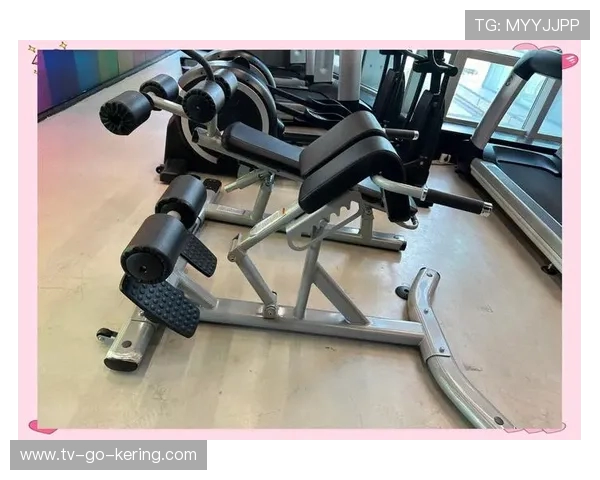 打造完美身材的健身计划从入门到进阶全攻略助你轻松瘦身增肌塑形