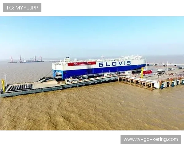 盐城大丰港战队奋力拼搏 引领新征程 再创辉煌荣耀