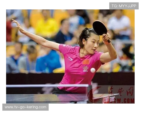 广州乒乓球队力量表现数据分析揭示运动员潜力与训练效果的关系